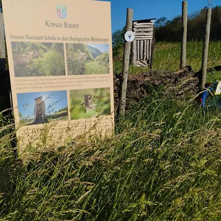 Ferienweingut Kreuz-bauer